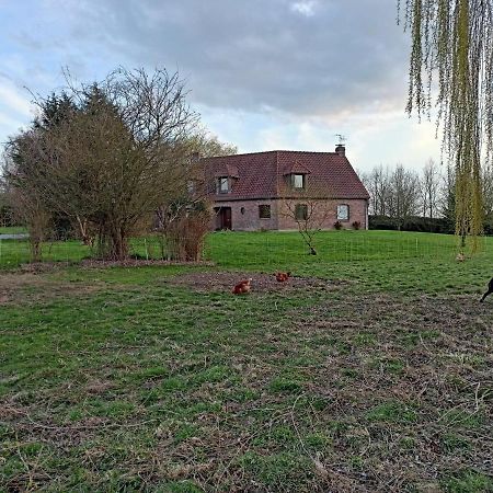 Les Chambres D'Hotes Du Vert Galant " L'Allee Des Champs" Verlinghem Luaran gambar