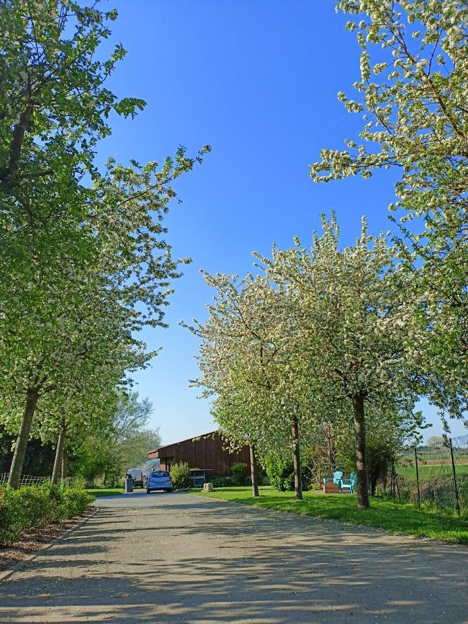 Les Chambres D'Hotes Du Vert Galant " L'Allee Des Champs" Verlinghem Luaran gambar