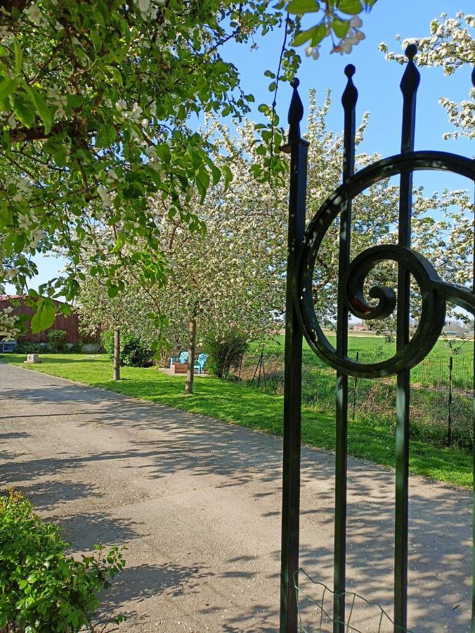 Les Chambres D'Hotes Du Vert Galant " L'Allee Des Champs" Verlinghem Luaran gambar